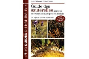 Guide des Sauterelles - Grillons et Criquets d'Europe Occidentale